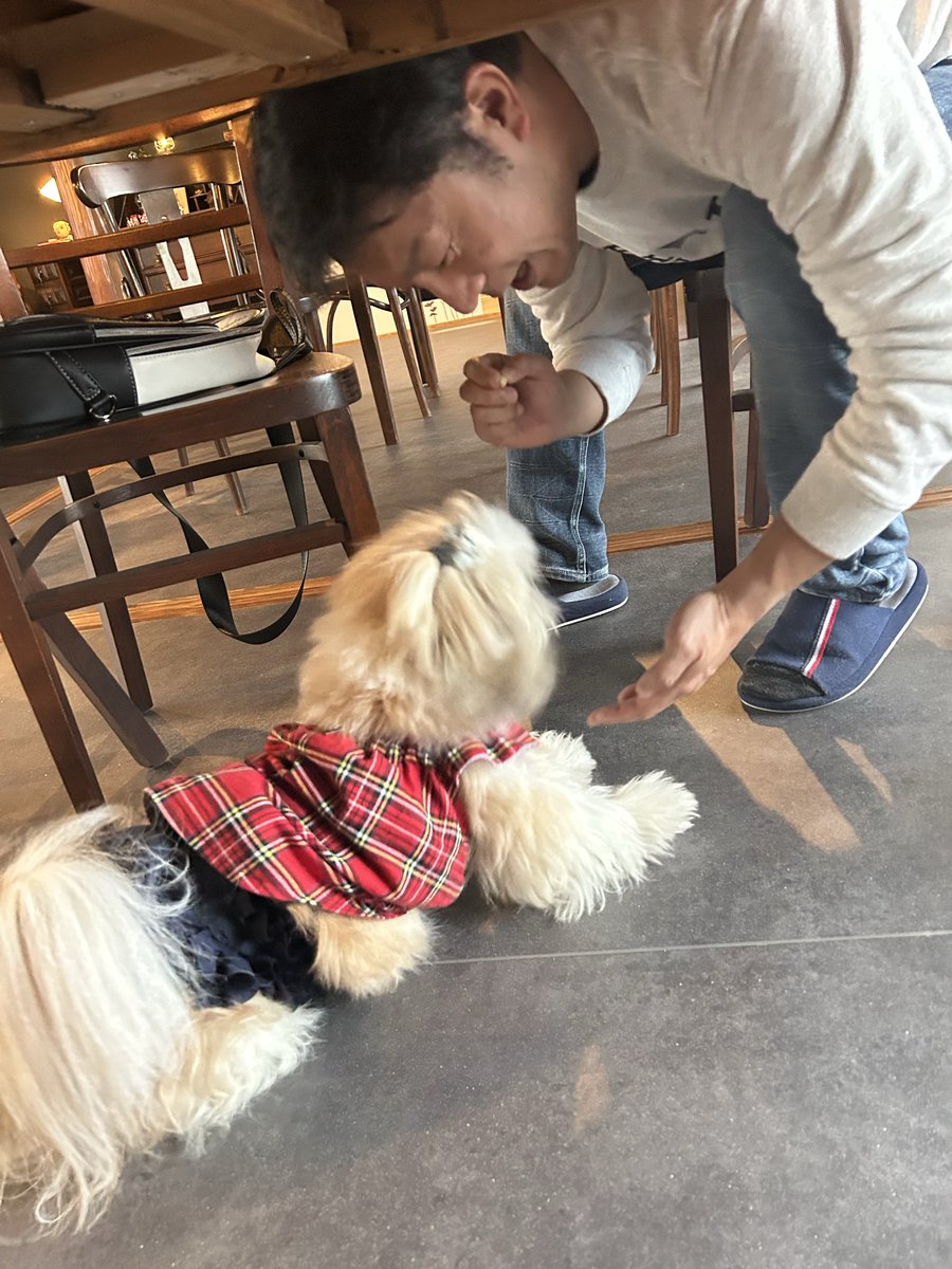 ediondsd's tweet photo. 奈良県にある元バンドのドラム🥁のお店
KOTARU cafeに行ってきたぁ💕
しゃちょ（こたろう）とせんむ（うるる）からもご挨拶頂き、癒しの空間〜😍クロッフルもコーヒーも美味しかったぁ💕
#KOTARUcafe
#奈良県
#高市郡
#高取町
#清水谷1232
#フォトスポットいっぱい
#ワンチャンカフェ
#癒しの空間 https://t.co/jMQSnENg15