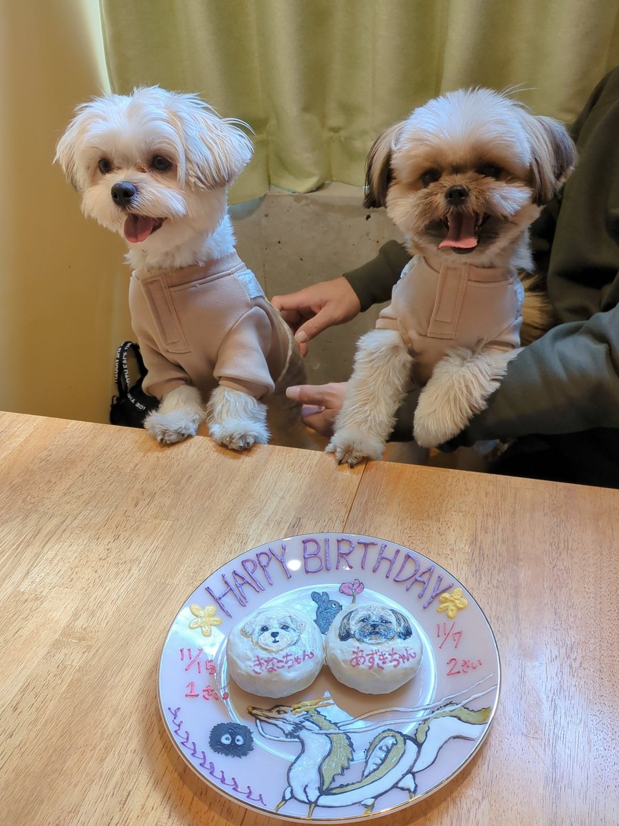 Lukestearoom716's tweet photo. みんなお誕生日おめでとう！！
わんちゃんも飼い主様も幸せそうだとこちらまで幸せになります♡
（当店お犬様ファーストの為、机に手が乗っているのは、ご容赦下さいませ✨️）
#東北沢　#カフェ　#ペット同伴可　#チワワ　#マルプー　#マルチーズ　#プードル　#イングリッシュコッカースパニエル https://t.co/oVHb6rvS88