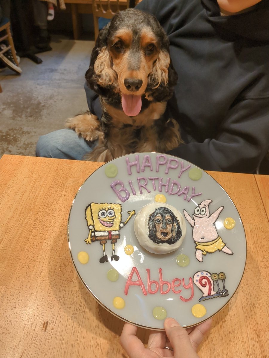 Lukestearoom716's tweet photo. みんなお誕生日おめでとう！！
わんちゃんも飼い主様も幸せそうだとこちらまで幸せになります♡
（当店お犬様ファーストの為、机に手が乗っているのは、ご容赦下さいませ✨️）
#東北沢　#カフェ　#ペット同伴可　#チワワ　#マルプー　#マルチーズ　#プードル　#イングリッシュコッカースパニエル https://t.co/oVHb6rvS88
