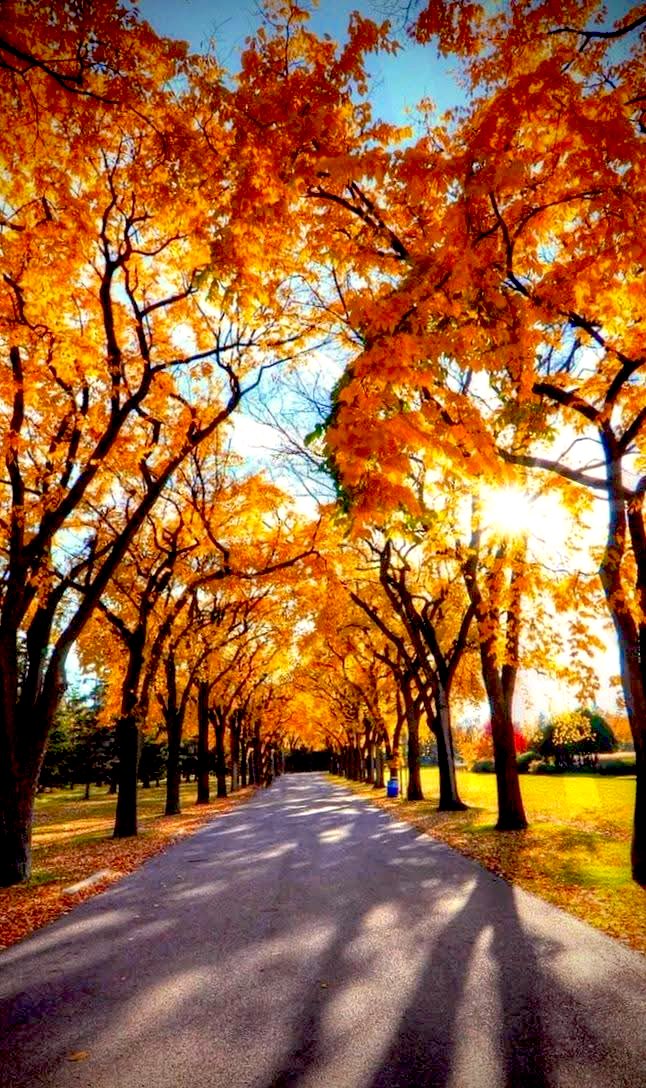 Earth Glory (@earthglory56) on Twitter photo 