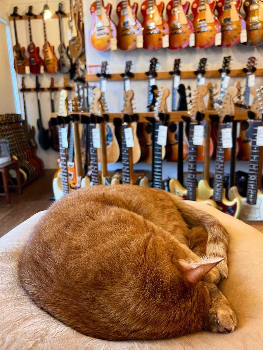 oldbridge_jp's tweet image. 本日(11月15日土曜)はライブイベントの為、16時までの営業となります😸
oldbridge.jp