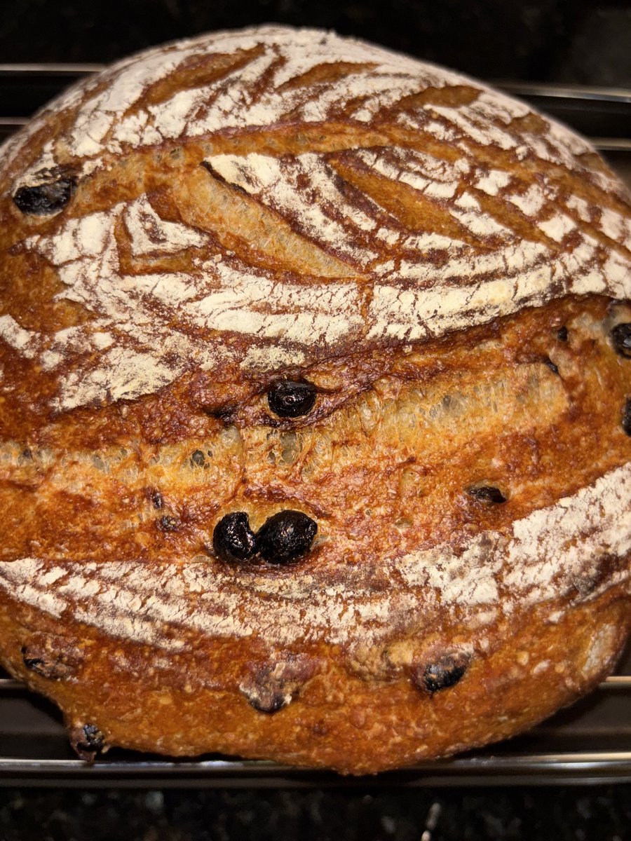 VijayEllaurie's tweet image. Fall is bread baking time! Fall recipes: Raisin Bran Sourdough Bread youtube.com/shorts/K546-m0…  #sourdough #breadbaking #healthierbreads #guthealth #prebiotics #inulin #resistantstarch