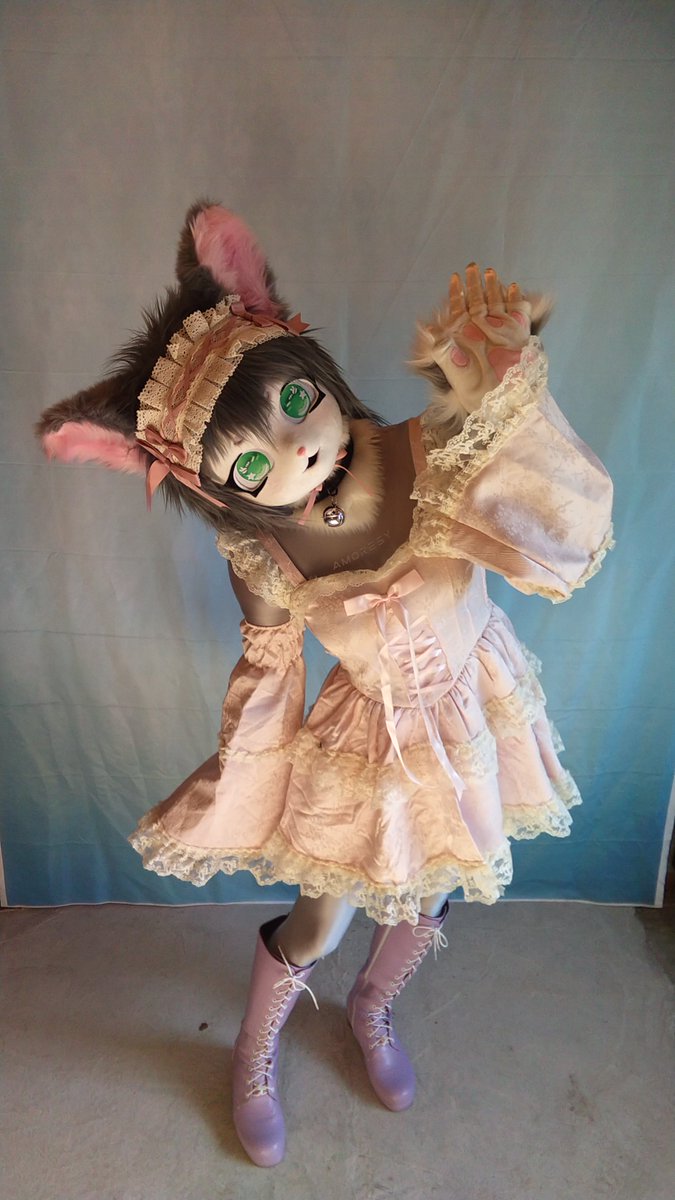 ピチ猫ノーラ tweet media