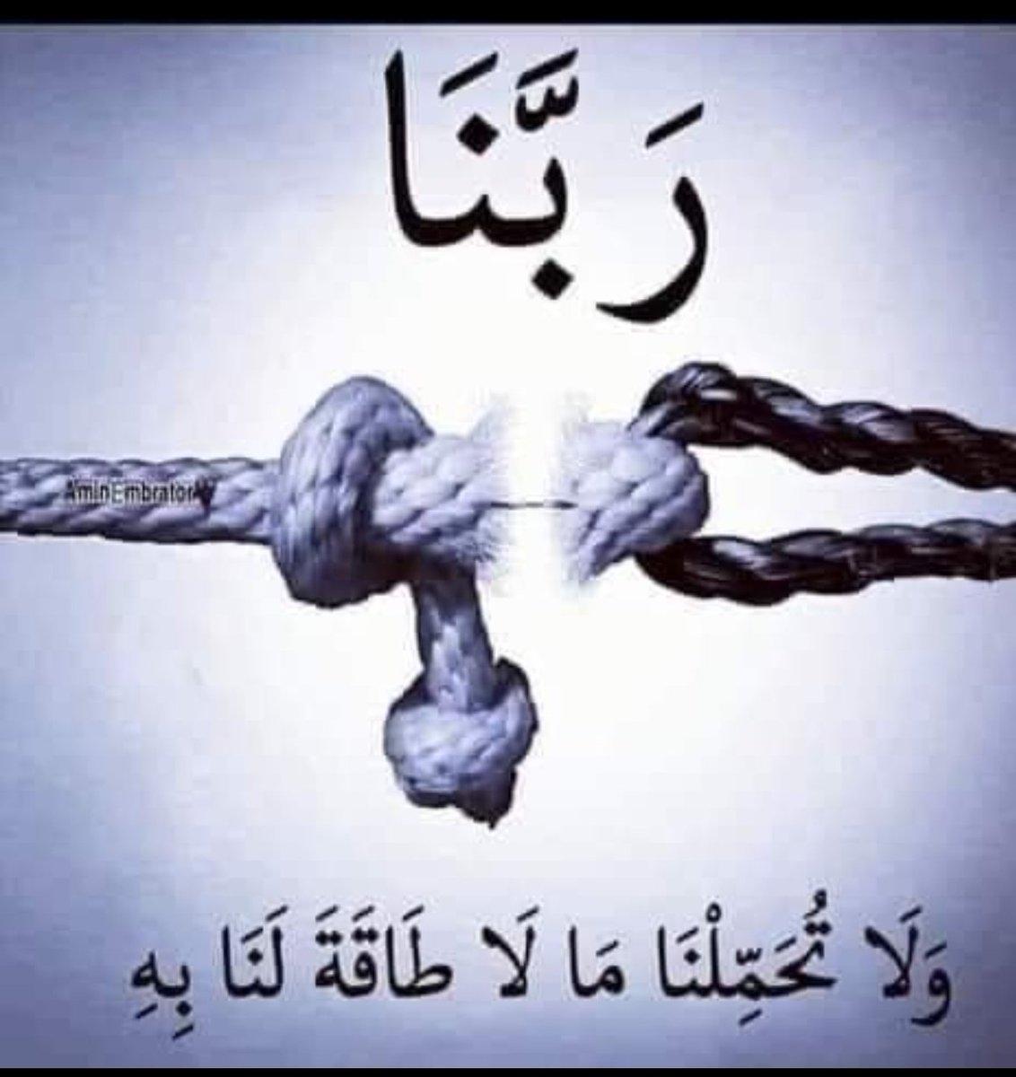 💛أم وليد💙🇸🇦🤲اللهم سخر لي اهل الخير tweet media