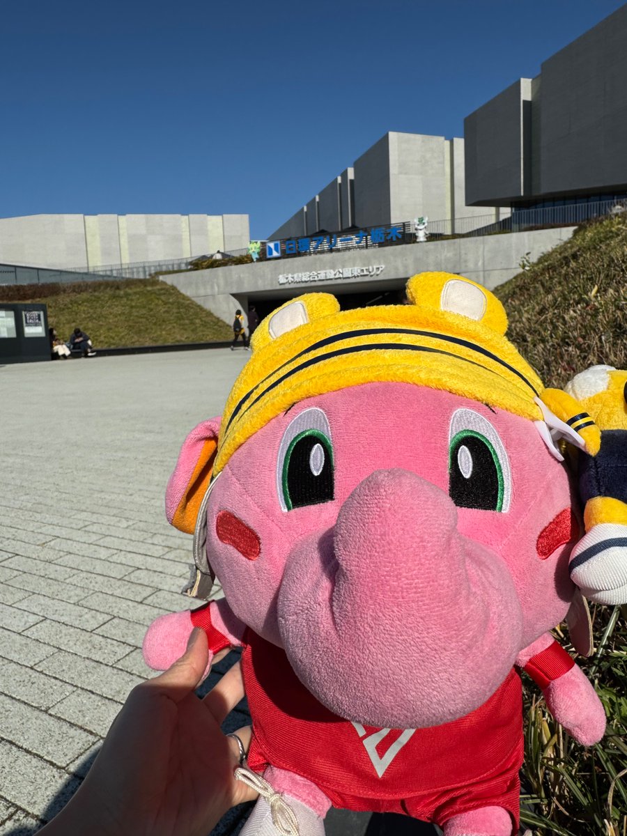 ちー (@chi_san6103) / Posts / X