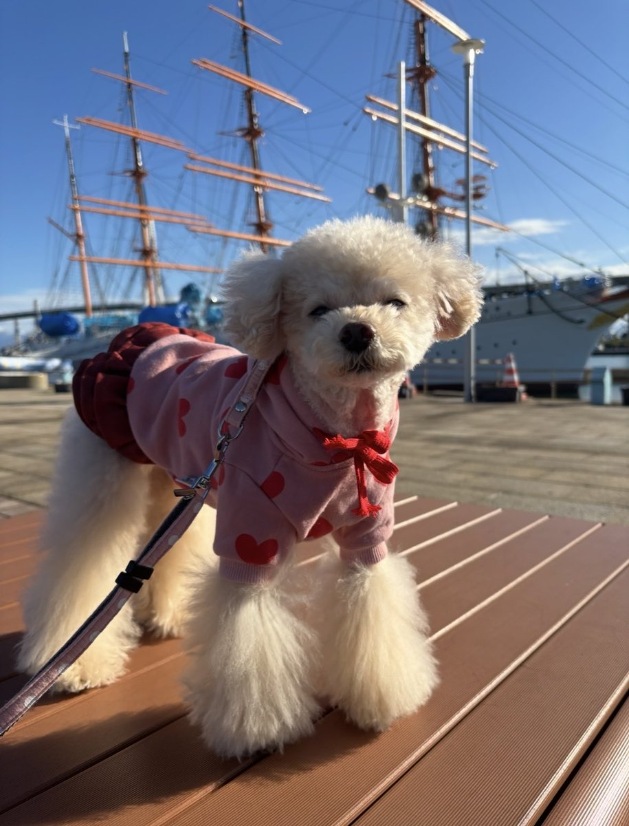 めぐりんページ めぐりん (@megrin18) / Posts / X