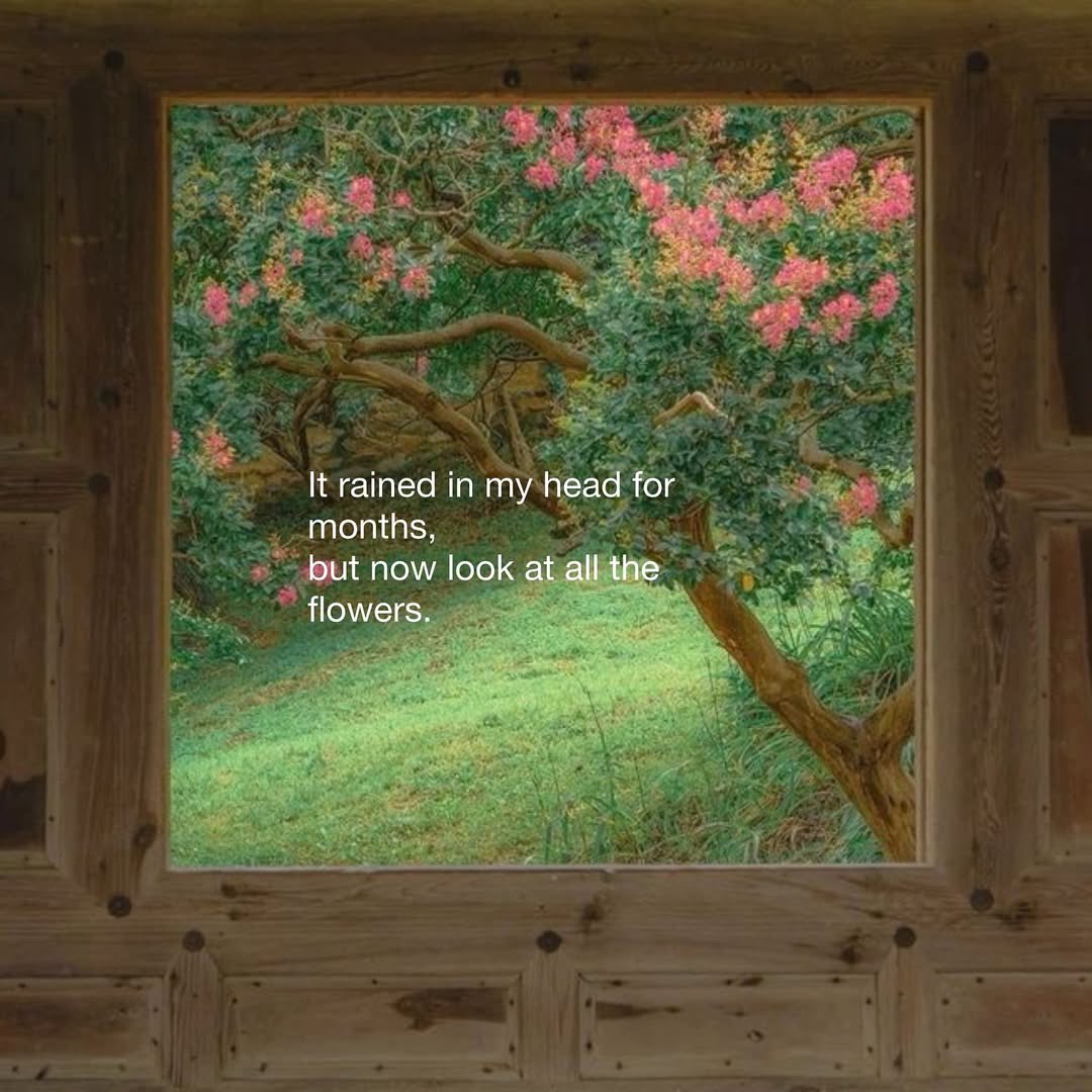 Deion 𓋹 (@calmdeion) on Twitter photo 