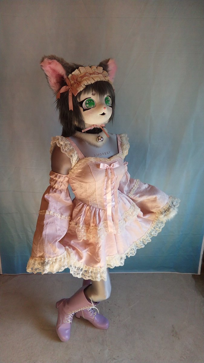 ピチ猫ノーラ tweet media