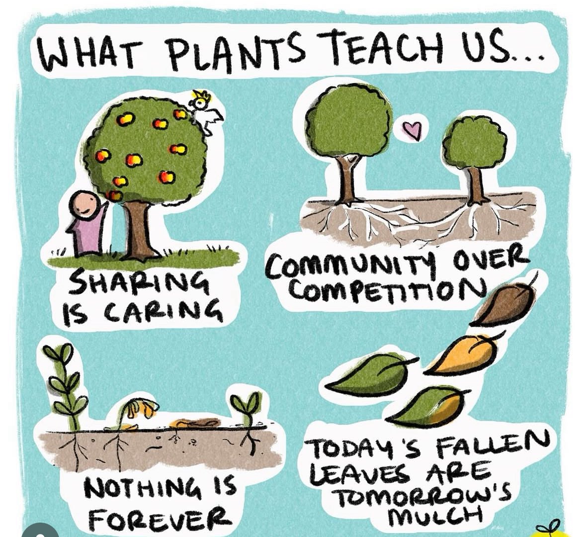 DoChainOfficial's tweet photo. Why the #Cookiemunity and @LUNCFOOD work together.
🛑 No Farmers 👨🌾 No wheat 🌾, no wheat no flour, no flour no #Cookies and the world is a better place with 🍪🍪🍪
Lets grow some #Food , lets #DO it ! 🌾 🍪
Join the #Cookiemunity
https://t.co/NyDfLhzbOj https://t.co/RalylkrDUI