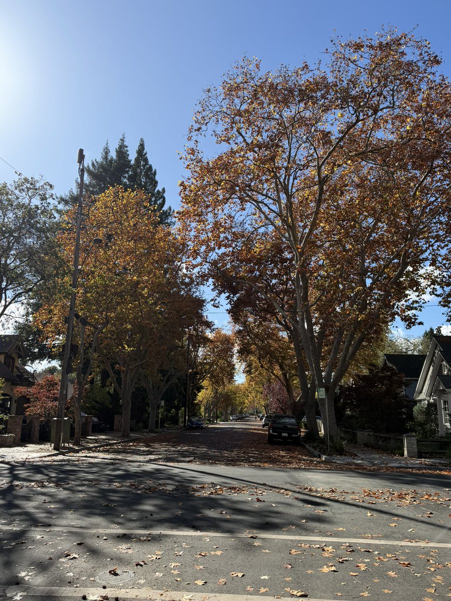 daniela_rojas96's tweet photo. Yeah I think I’m obsessed w fall ngl 🤎 https://t.co/e3Ore4fclL