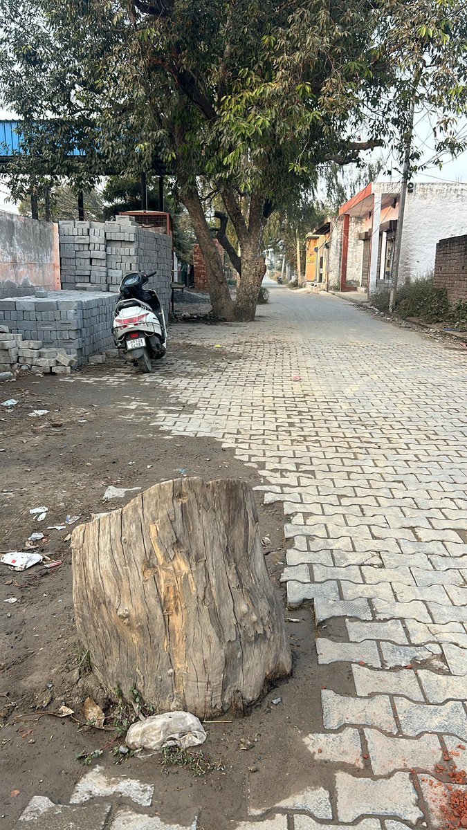 AkhandTrust's tweet image. @NGTribunal गांव राई जिला सोनीपत हरियाणा मे 140 से अधिक जिनमे 90% पेड 80-90 वर्ष पूराने थे सभी सरकारी पेडों को 13जून2025 मे वार्ड नंबर 8 के पार्षद व नगर निगम कमीश्नर ने कटवाकर निजि लालच से बेच दिया
सोनीपत DC,FOREST,SDM को सिकायत दी लेकिन कार्यवाही नही हुई
यहा 350पार प्रदूषण है जी