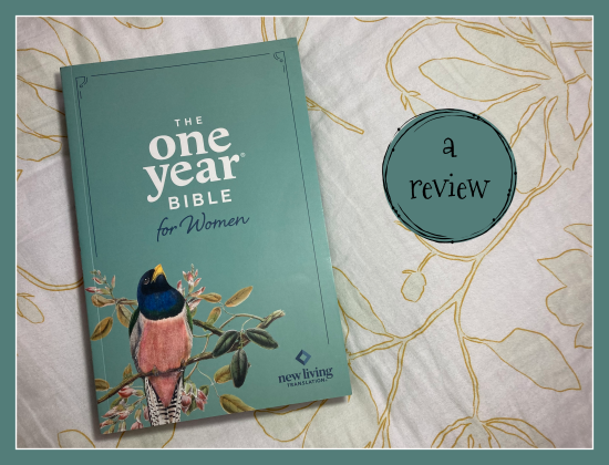 Wren Reyn tweet media