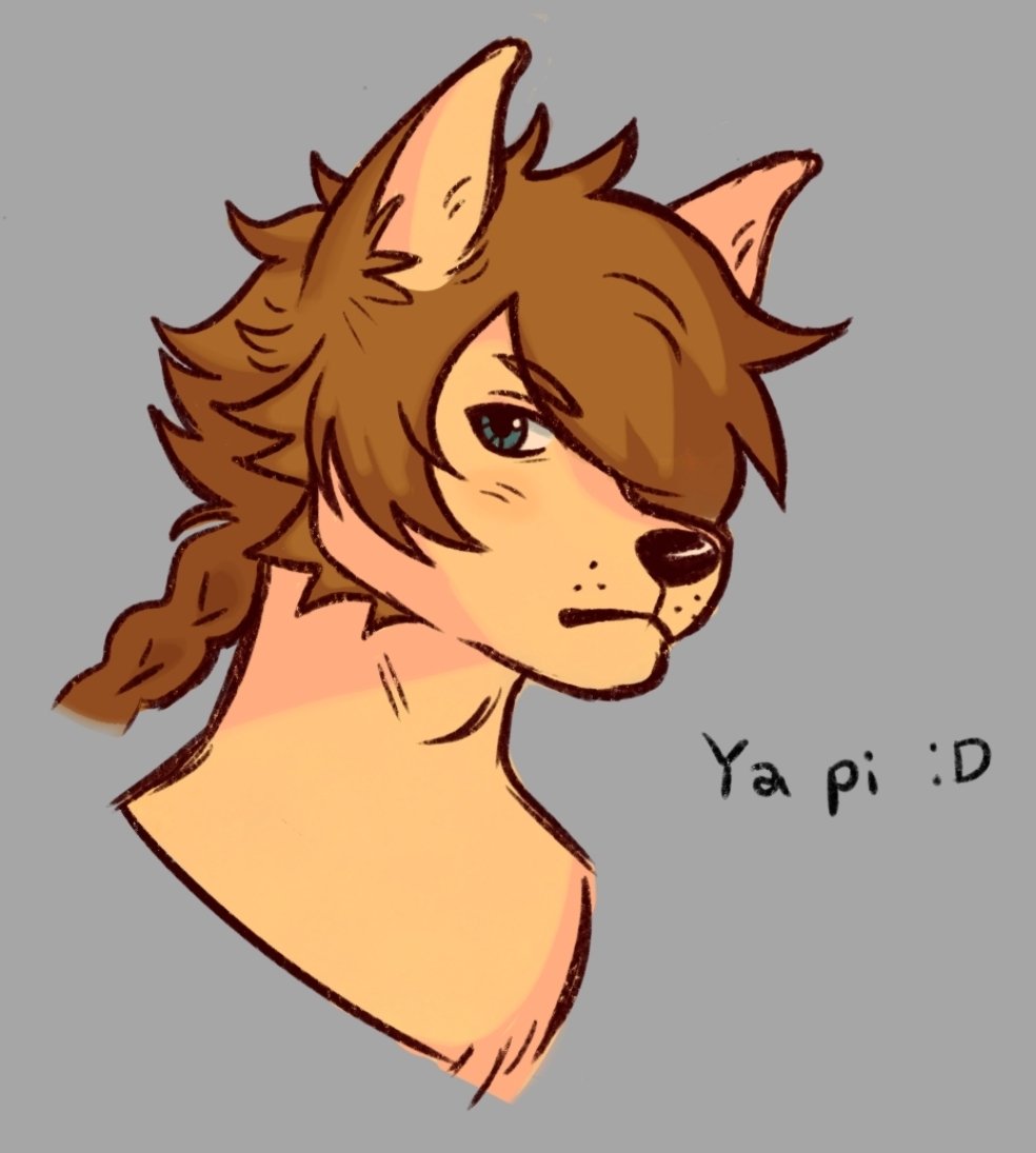 dvmyx's tweet image. husband ☺️ #ninokuni #yapi