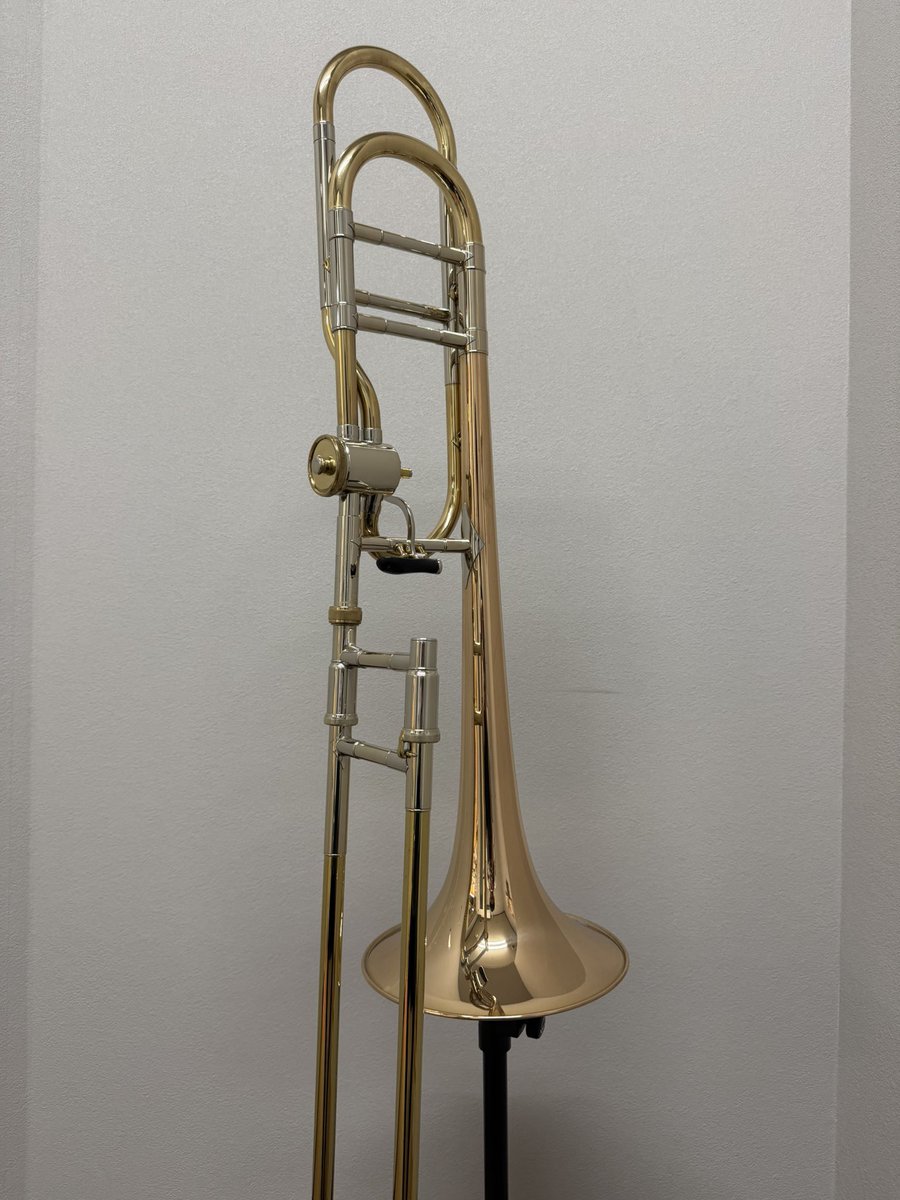 ヒルスブルックナー🦌 (@HirsEuphHBS999) / Posts / X