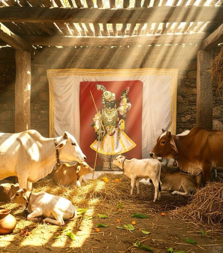 paramdisciples's tweet image. Hare Krishna Hare Krishna 
Krishna Krishna Hare Hare 
Hare Ram Hare Ram 
Ram Ram Hare Hare