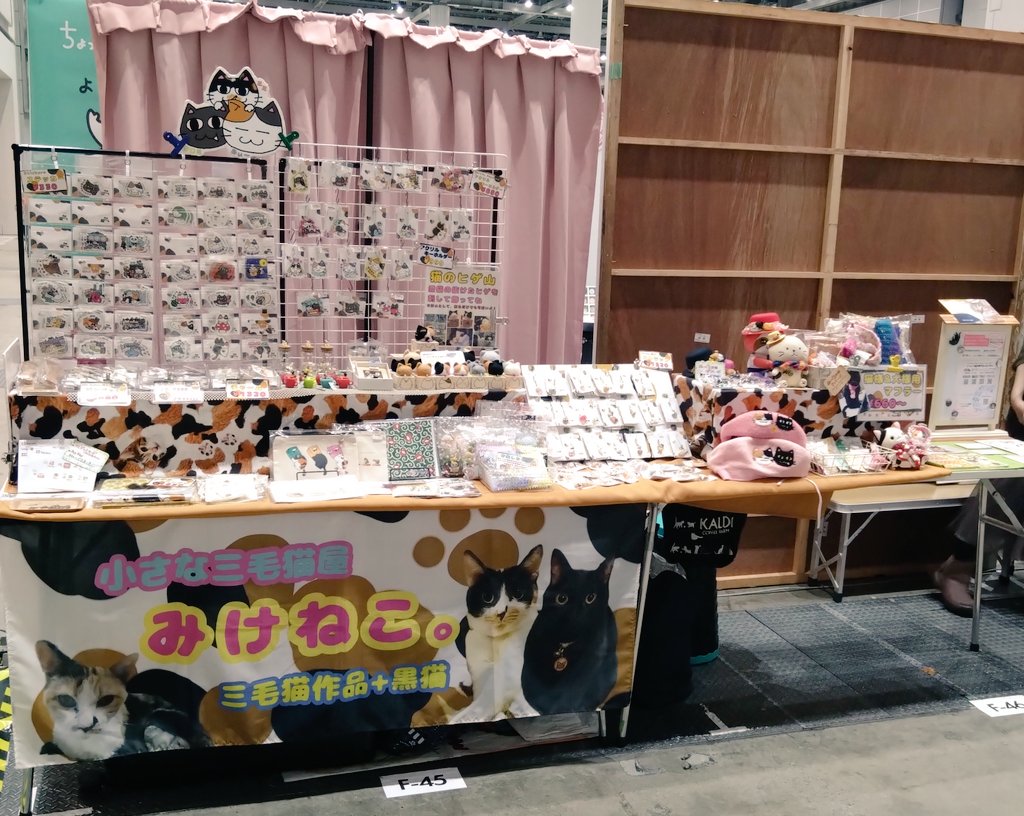 みけねこ 10点 三毛猫】10万人の皆様にチャンネル登録していただけたミケ（2025年8月