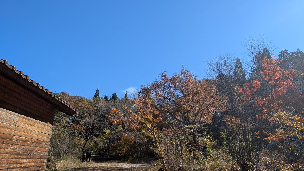 初冬感あるわー
真冬になるとOPEN2時間前位から廃油ストーブつけ始めないとだなー
てなことで本日もOPEN〜