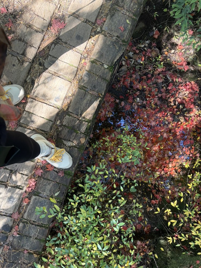 ri__zrx's tweet photo. ハイキング日和😊 https://t.co/rKRQdNiHsf