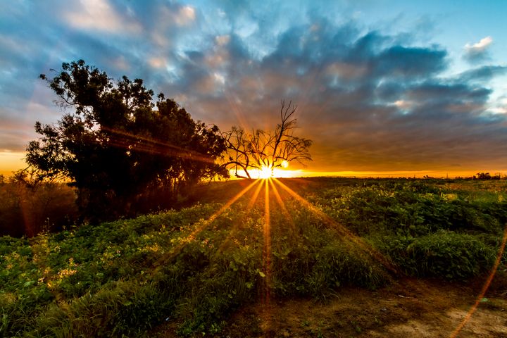 Art of the Day! "HB Sunrise". Buy at: ArtPal.com/gmtzphotograph…