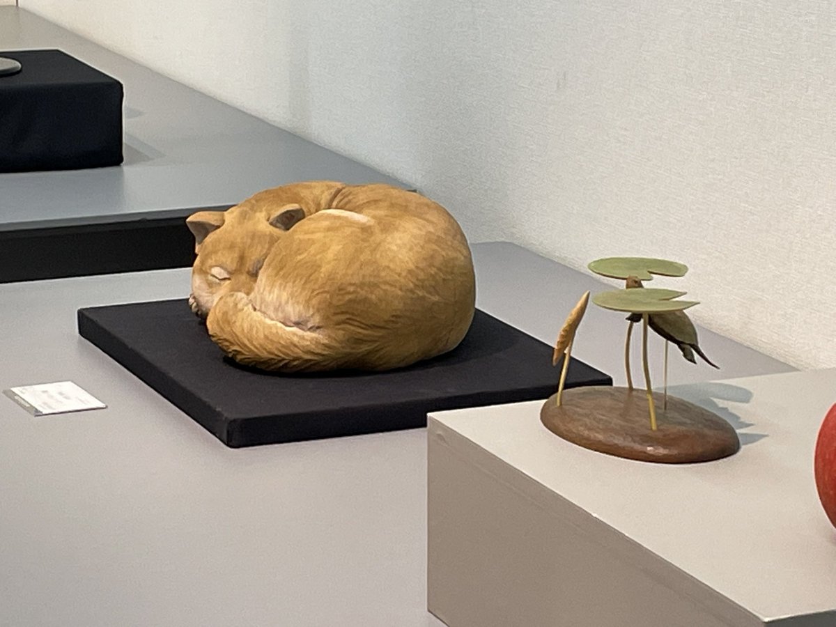 齊藤 秀樹 (@3110hideki3110) / Posts / X