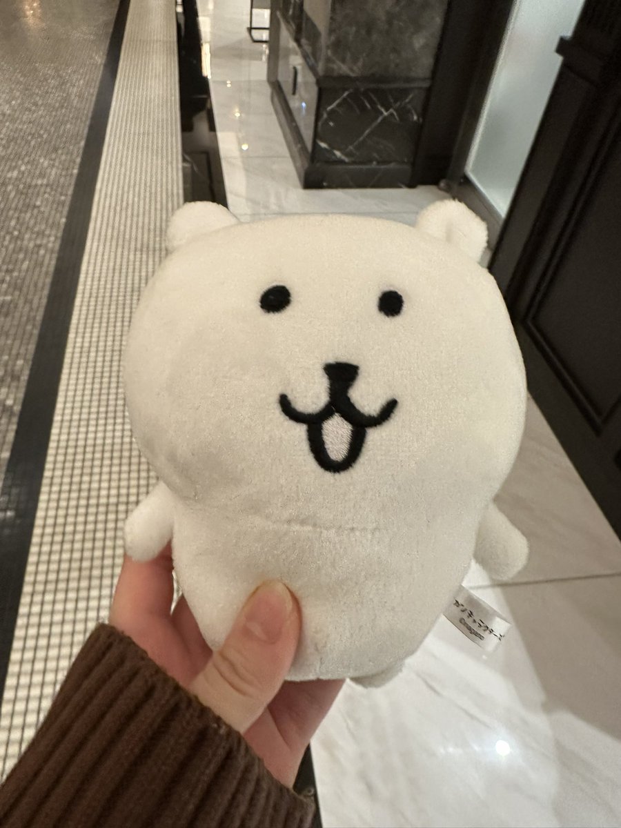 고도(ゴド) tweet media