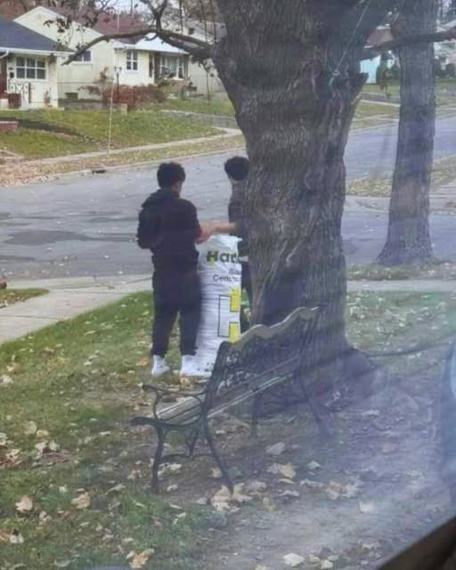 Two kids knocked on my door offering to rake my entire yard for $10 total—and what I did next changed how they'll see hard work forever.
It was a Saturday afternoon when I heard the doorbell. Two boys, probably around 11 or 12, stood on my porch holding rakes that looked almost