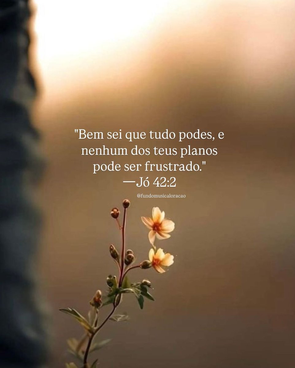 livrodaprofecia's tweet photo. https://t.co/buHexuZ9Sw