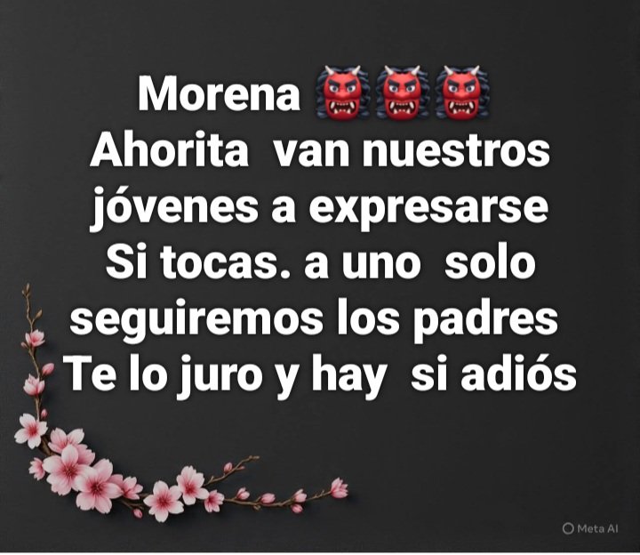 CandyHoneyLiz's tweet image. Con la Generación Z NO.