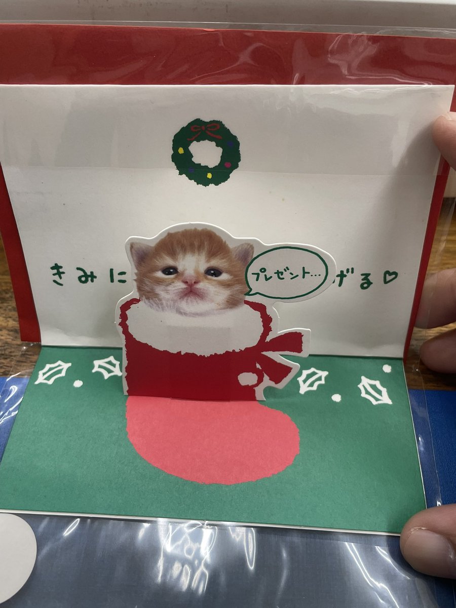 世の中アップデート続きなのに、
「ワシの時代はなぁ！」で止まる老害OSには困ったものです。

……と言いながら司書房の棚には
江戸・明治・大正のアップデート停止本がぎっしり。

老害を笑ってた店主の背中へ、
ただいま古本たちからブーメラン直撃した模様😏

今日はクリスマスカード用意しました