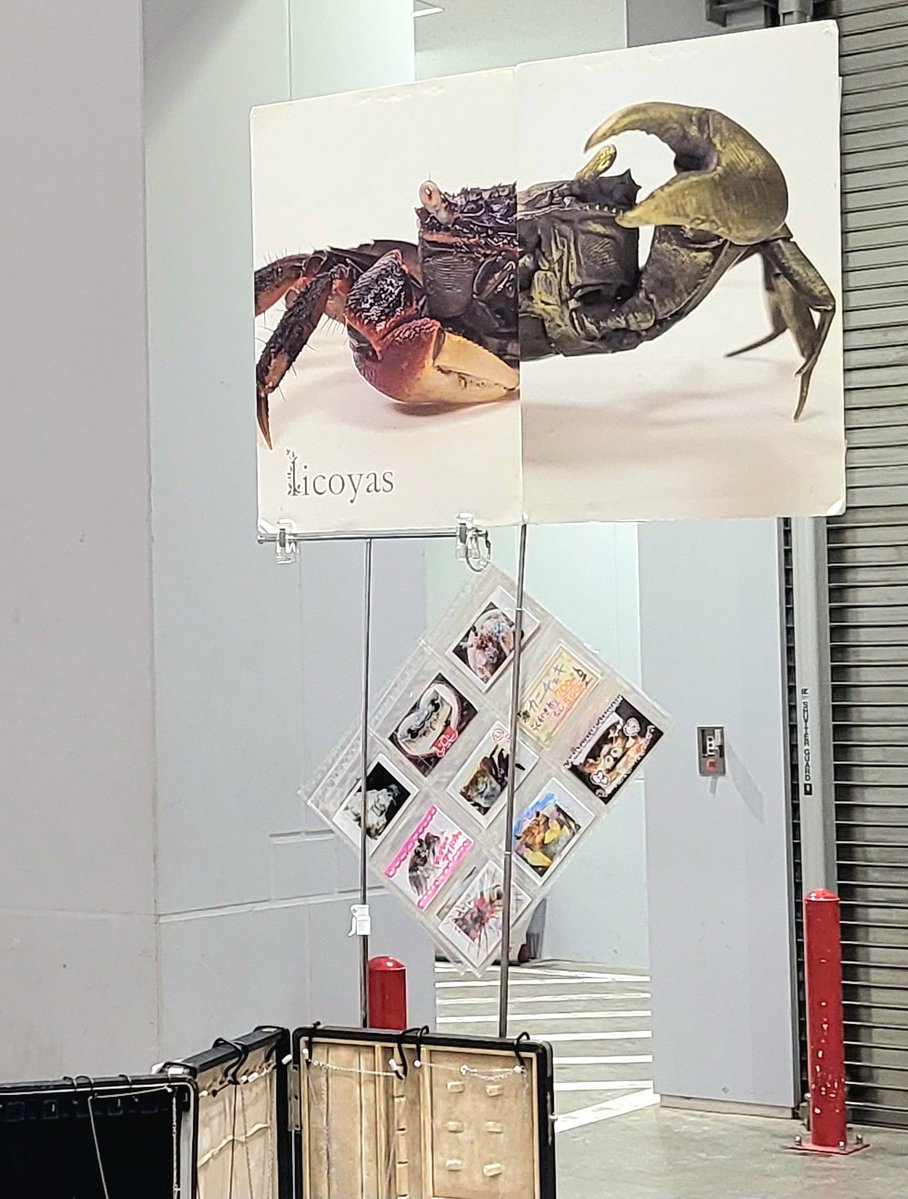 デザインフェスタ始まりました〜
カニ看板が目印🦀
シャッター前！角！

11/15、16 東京ビックサイト
⚠️珍しく明るいエリア
南館１階 H-220、221

⚠️10〜18時まで
<a href="/designfesta/">デザインフェスタ公式</a>
#デザフェス62お品書き 
#デザフェス