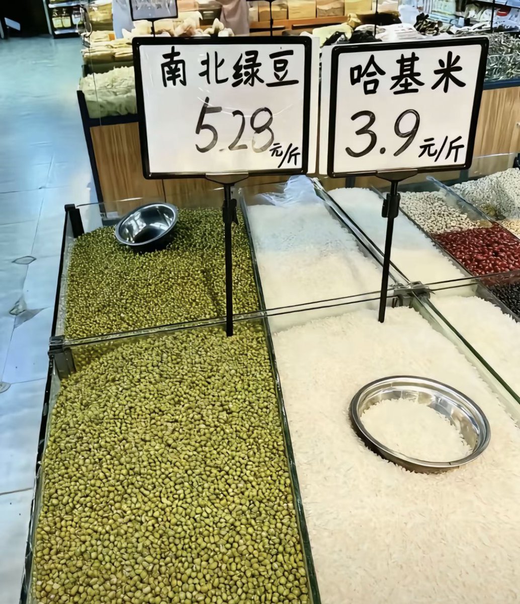 天不生基米，万古如长夜
#哈基米 #南北绿豆