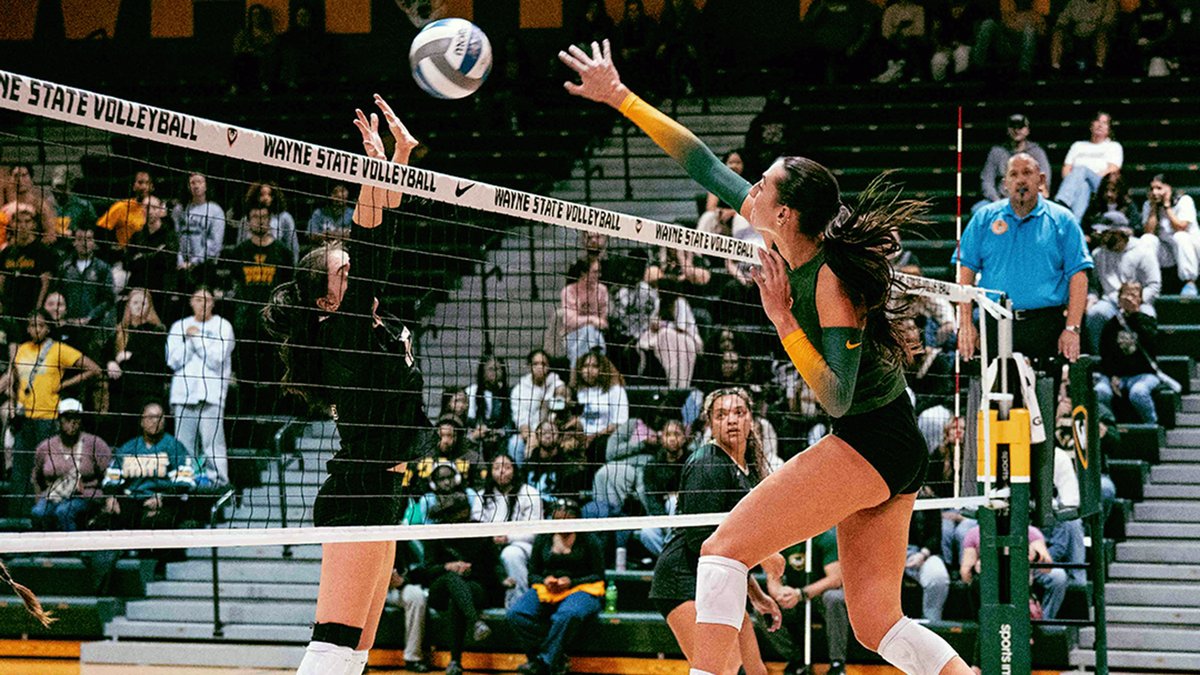 waynestwarriors's tweet image. #WarriorVB:  Volleyball Captures Share of GLIAC Regular-Season Championship

tinyurl.com/4hw69j48

#REPthe313