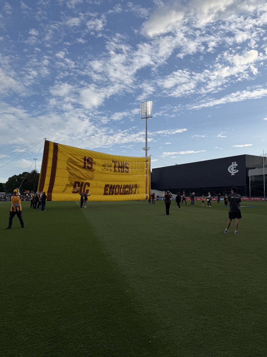 kateemac9's tweet image. Very, very well played @hawthornaflw @aflwomens #AFLWHawksBlues