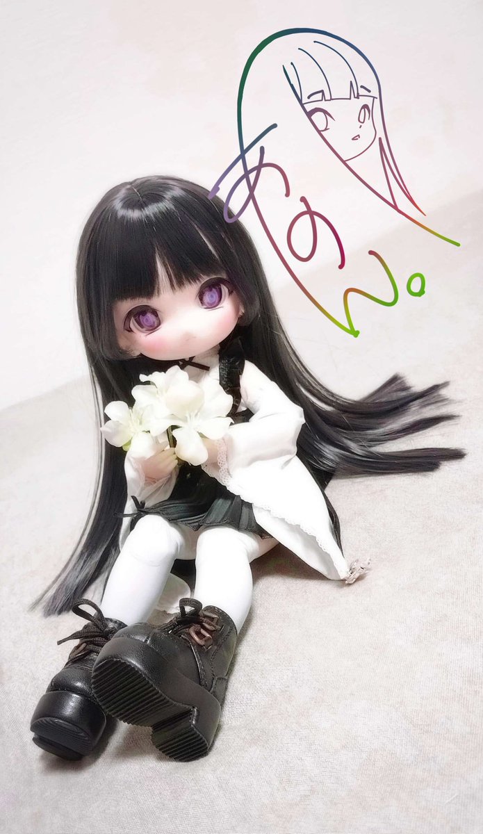 蒸籠蒸し（せいろむし） (@seiromushi_doll) / Posts / X