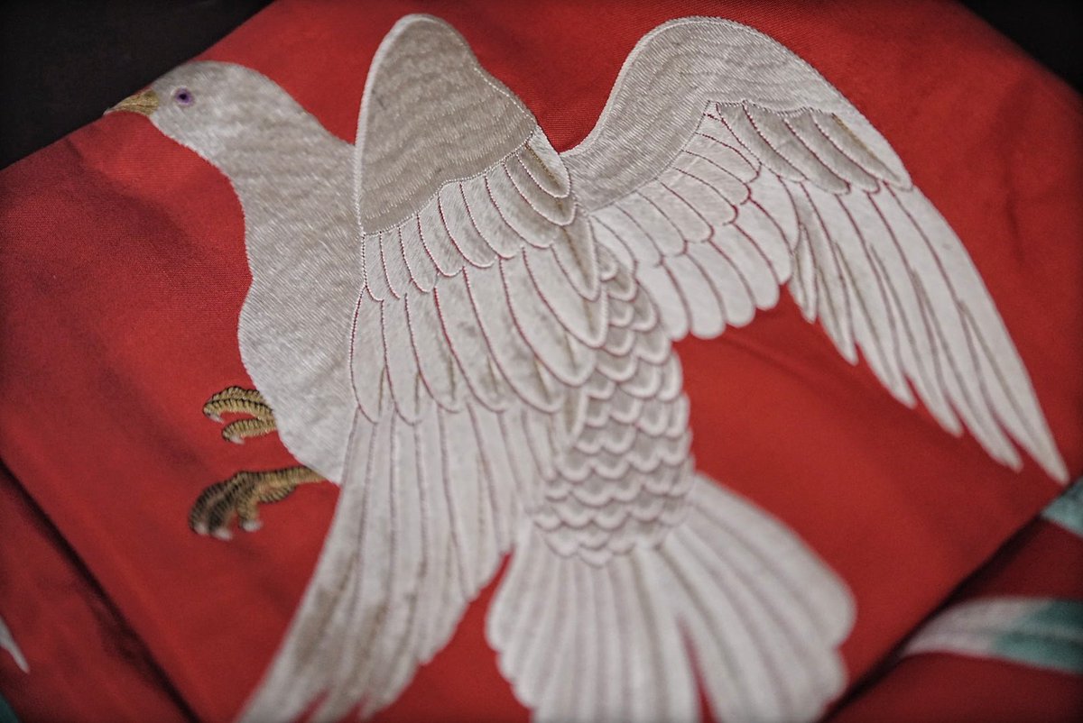 本日のショーケース 大胆な刺繍 アンティーク鳩名古屋帯👘🕊️🪶✨