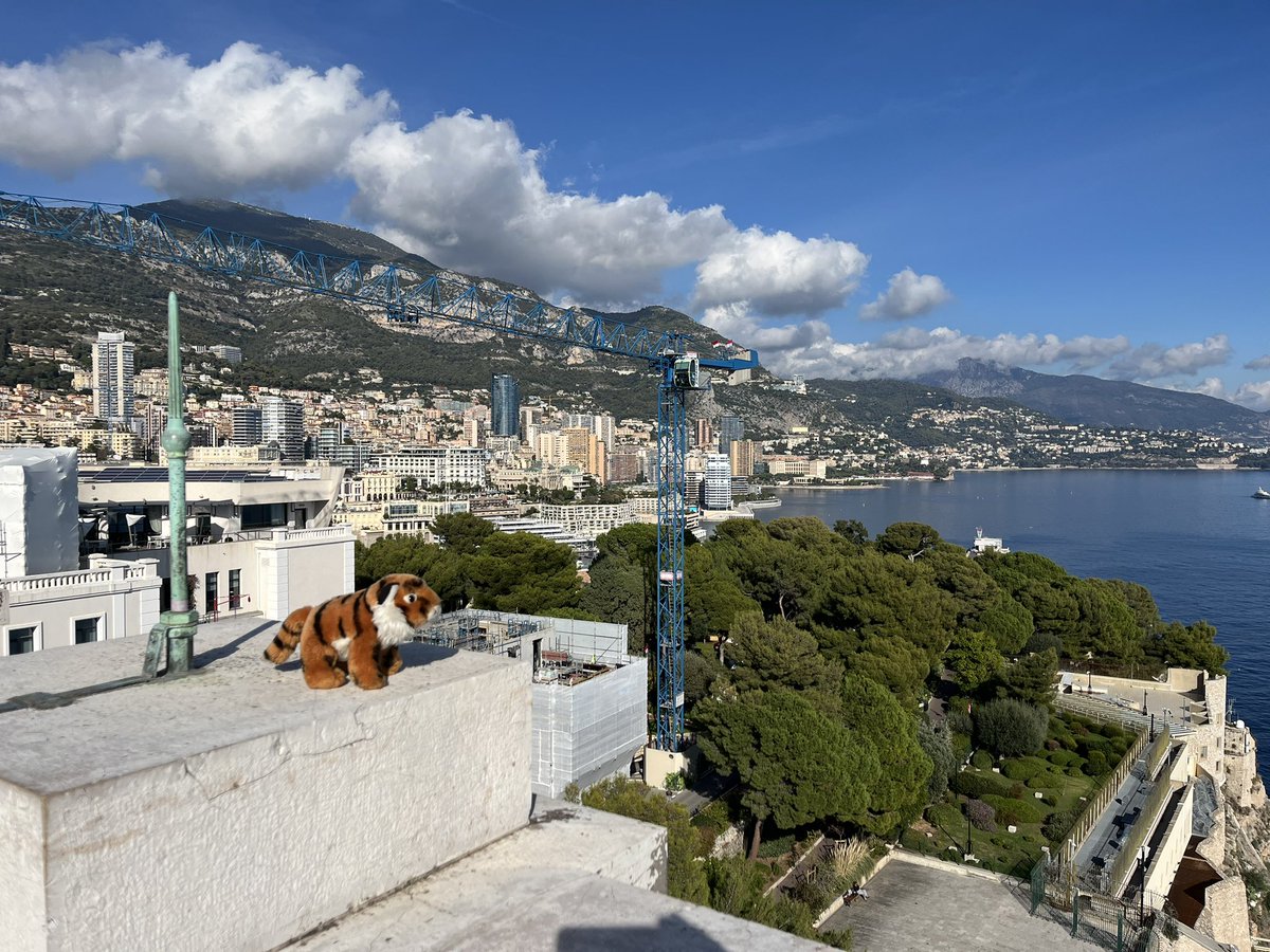 The tiger who broke the bank at Monte Carlo… 🐯

#TopTigerTime