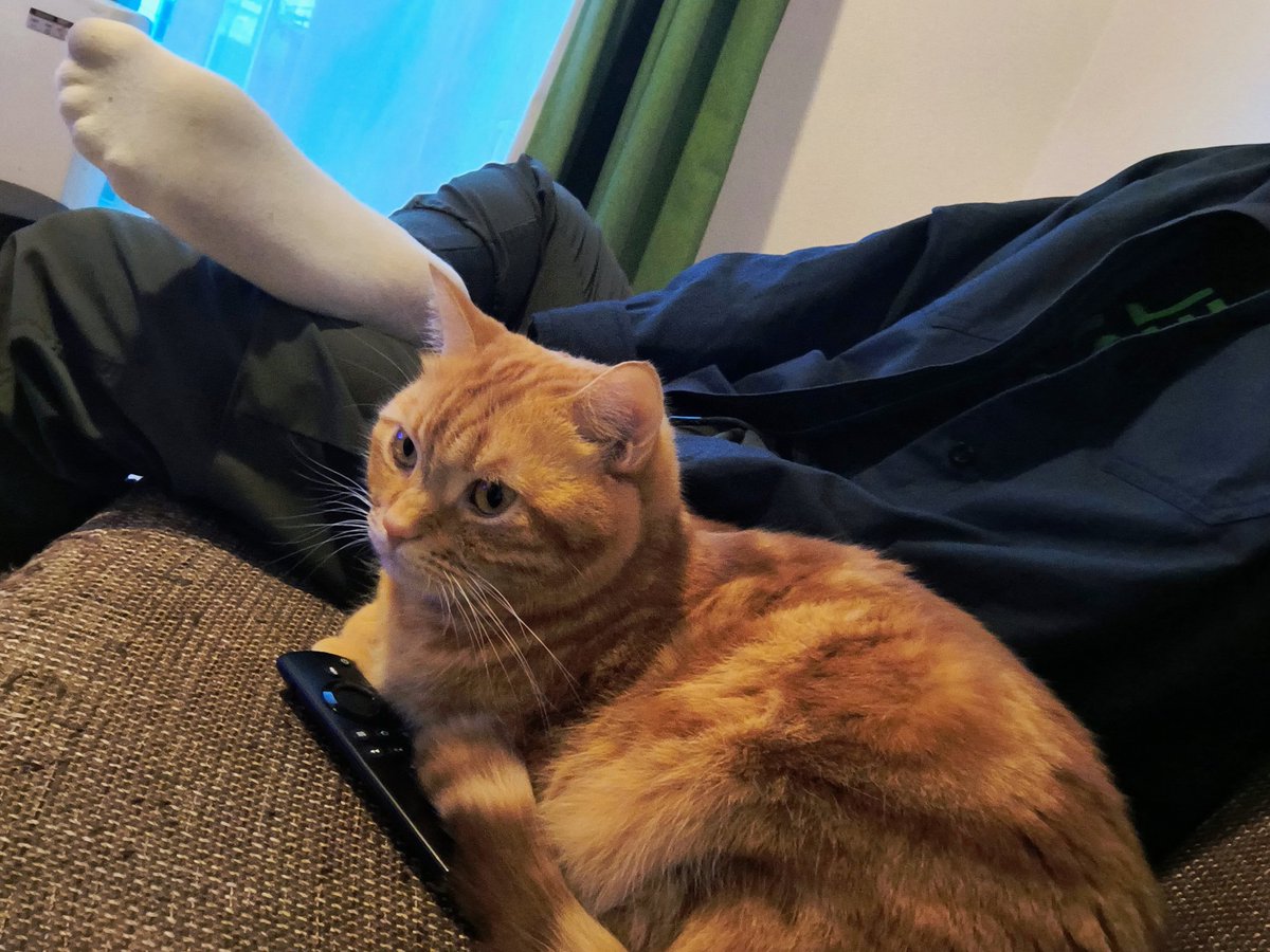 ジムから帰って休憩してたら猫きた。
今夜刀行こかなー？

🐦‍🔥