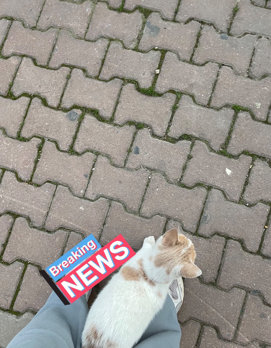 Kendisini park etti etrafı izliyor