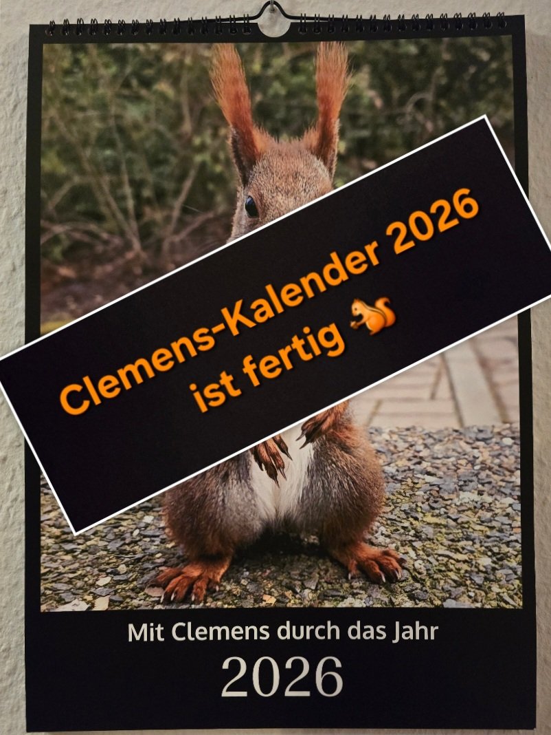 Tadaaa... da ist er 🐿🥰