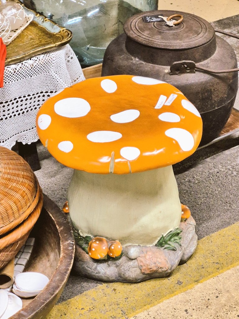 🍄(🍄•᎑•🍄)