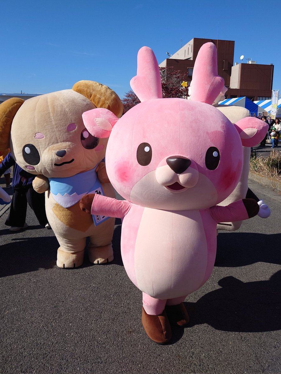 かぶちゃん (@kabu_chan1130) / Posts / X