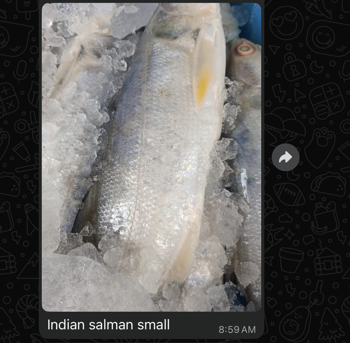 My fish guy selling small Salman bhai. At least someone was able to catch him.