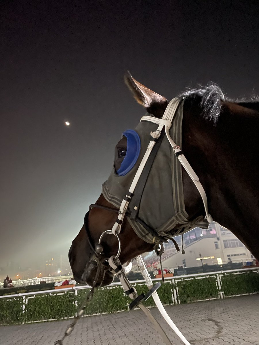 Szercelk's tweet image. ♥️