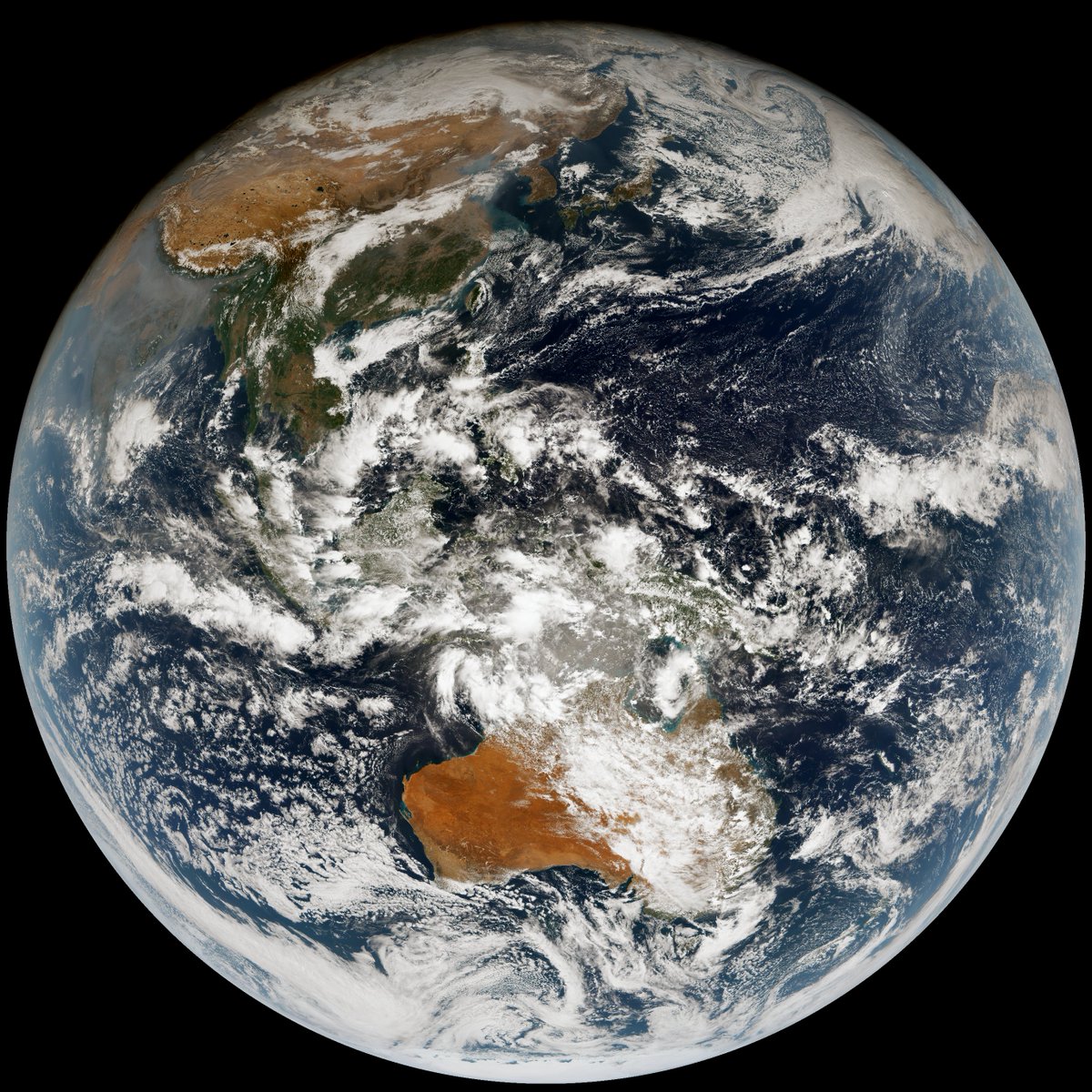 John Bell tweet media