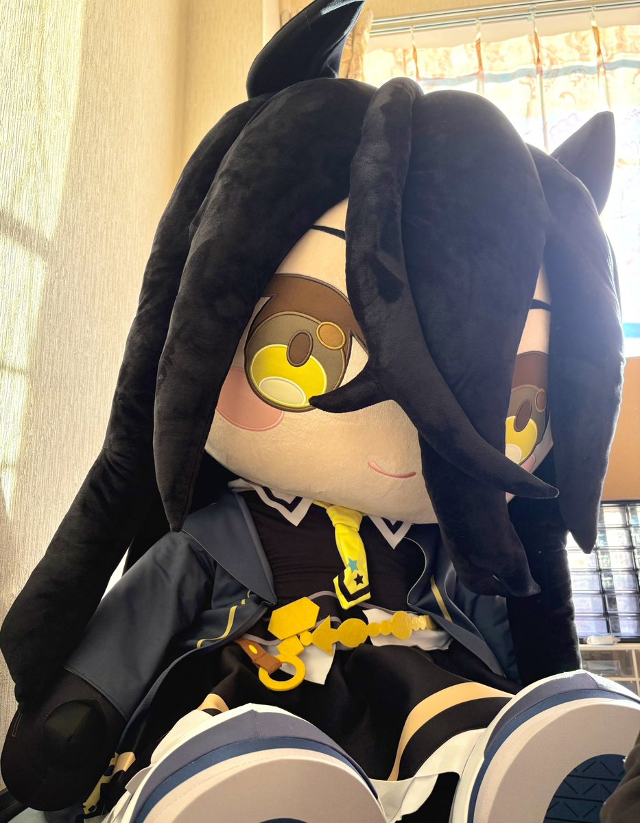 asazako's tweet photo. 届いた
かわいいけどデカい https://t.co/7oJbyGvWJF