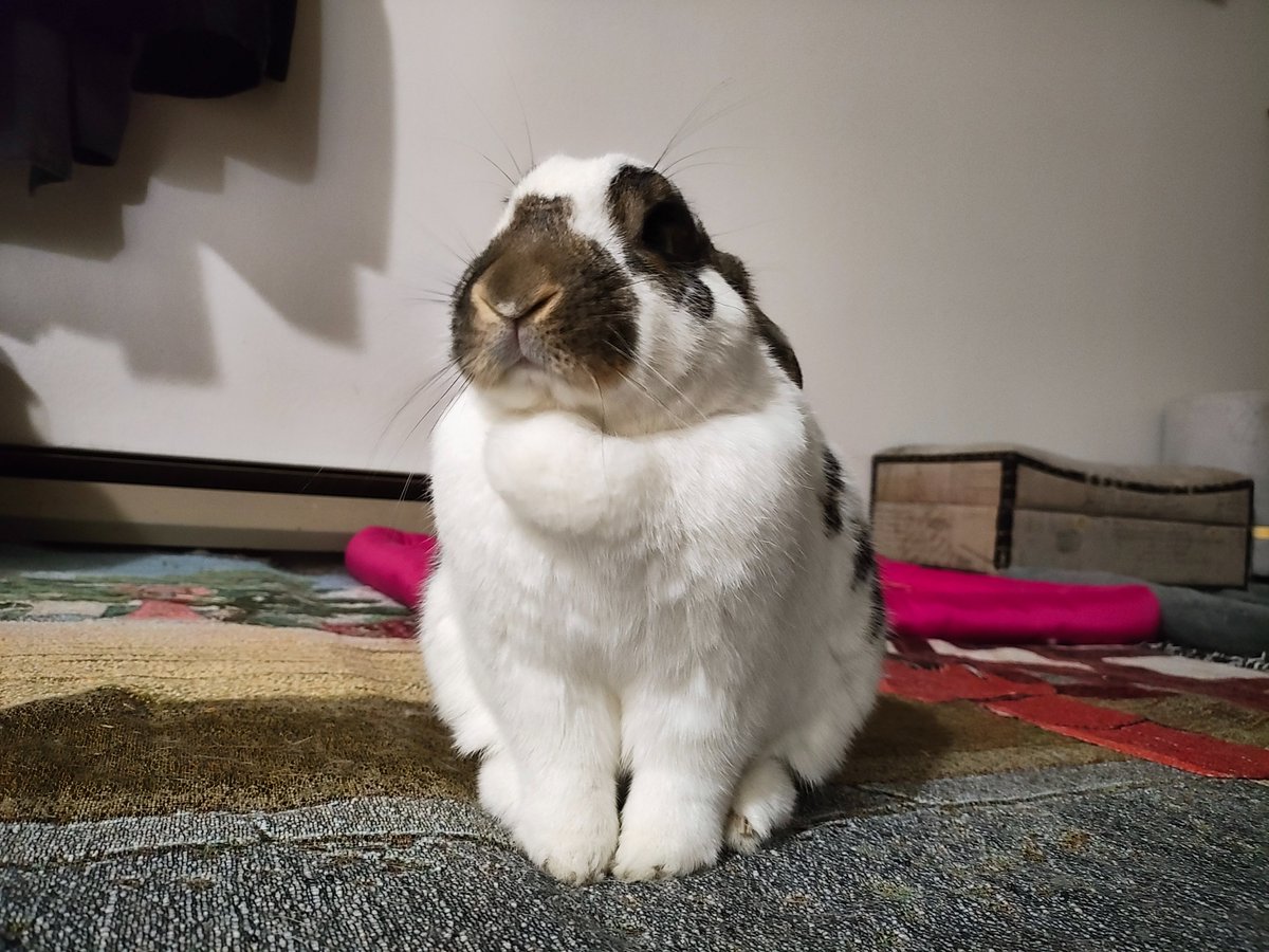 ZiggyWearsHats's tweet image. Plz tell my daughter she&apos;s pretty.