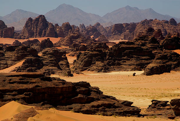 الحب ليس وعدًا بل حضور

#تكفون_ام_فهد_تنخاكم_لاتخلونها