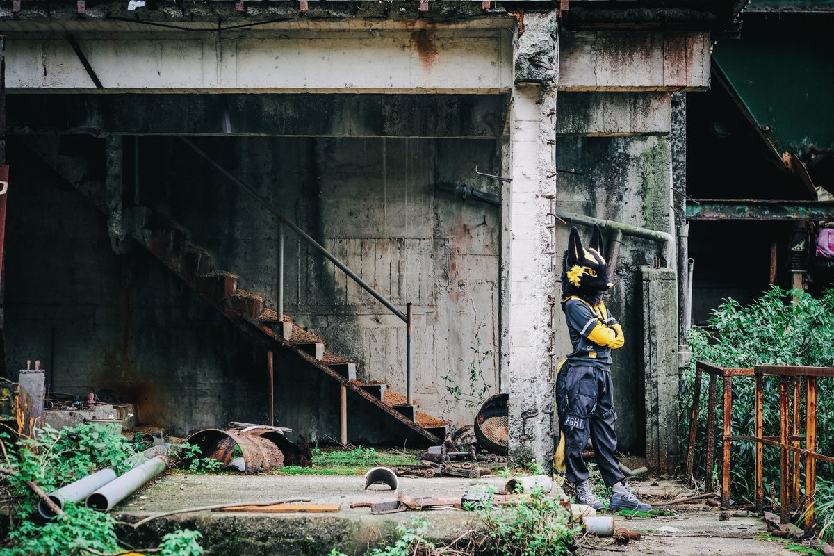 Speedy Update

​Anu's Ruin Squad : 3
The first time I asked ㄉㄉ for a photo, I ended up luring them to the middle of a secluded ruin,
Locked them in the trunk of the car,
preparing early for next year's Infinity theme.

📷： <a href="/DD_Woof/">🐾ㄉㄉ🔜 💤</a>
#fursuiteveryday #餘獸重生