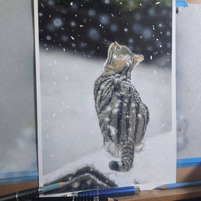 色鉛筆画　森のメロディー 色鉛筆画 森のメロディー 色鉛筆画 森のメロディー