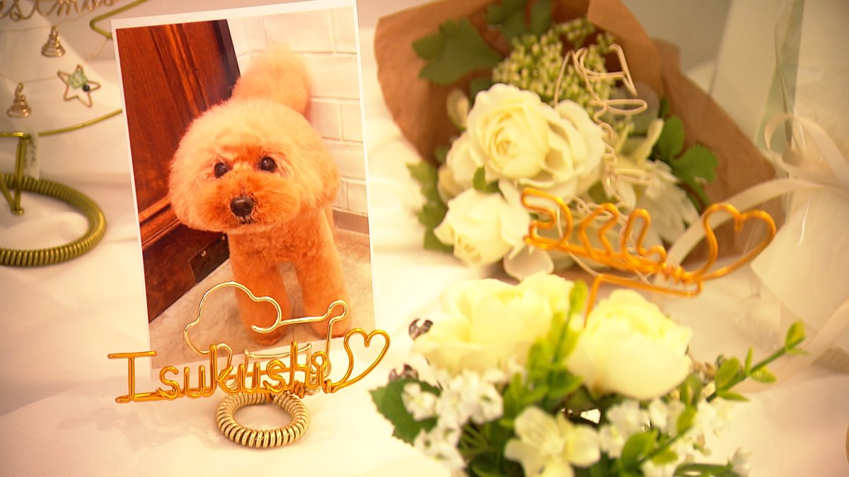 【公式】フットマップ~いつでも使えるガイドマップ~ tweet media